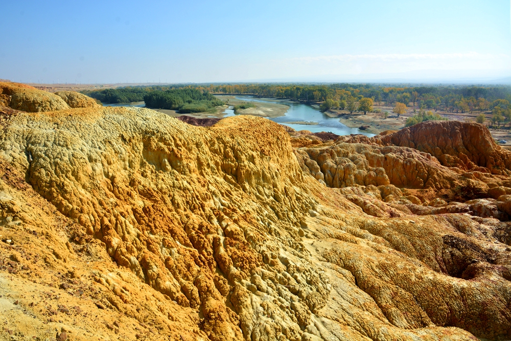 ��ľ���̲ 1432_����.jpg