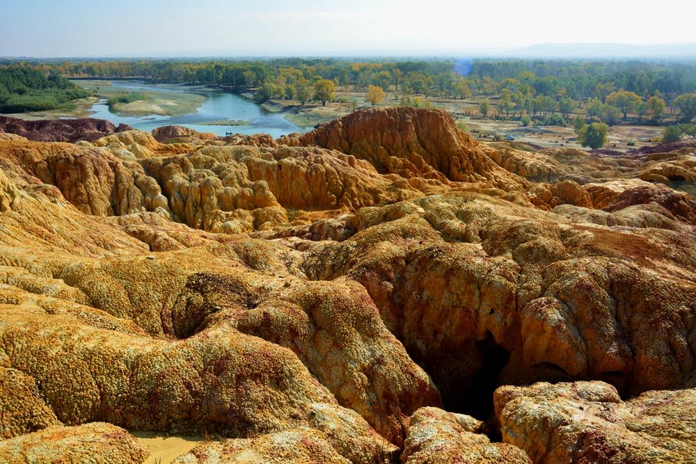 ��ľ���̲ 1435_����.jpg