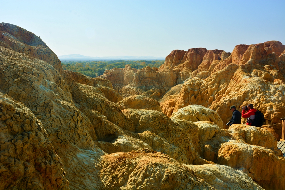 ��ľ���̲ 1441_����.jpg