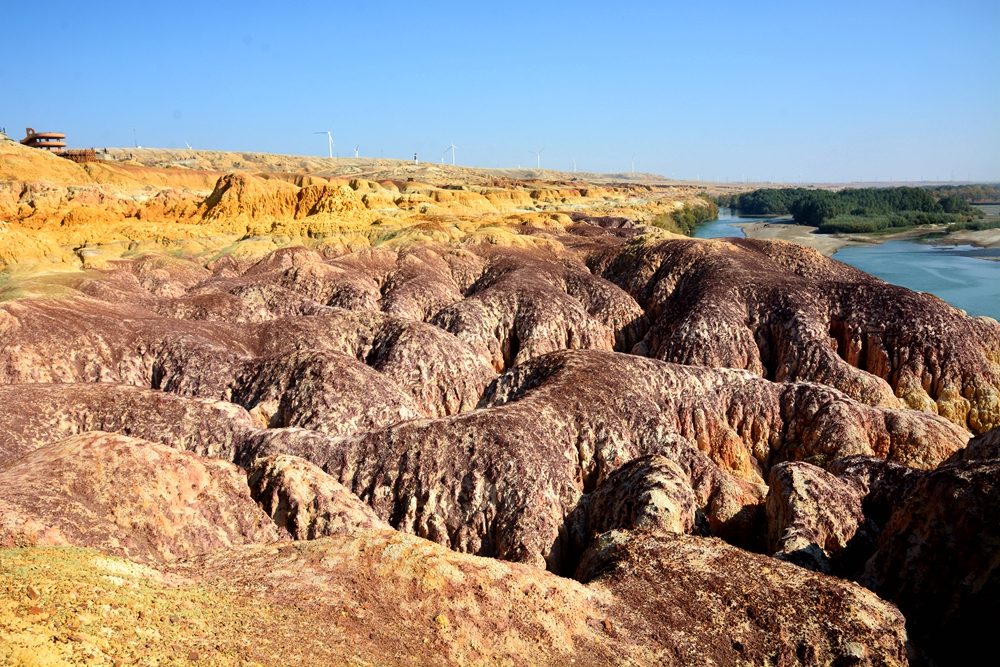 ��ľ���̲ 1449_����.jpg