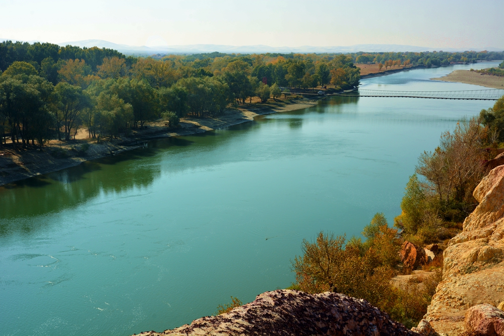 ��ľ���̲ 1473_����.jpg