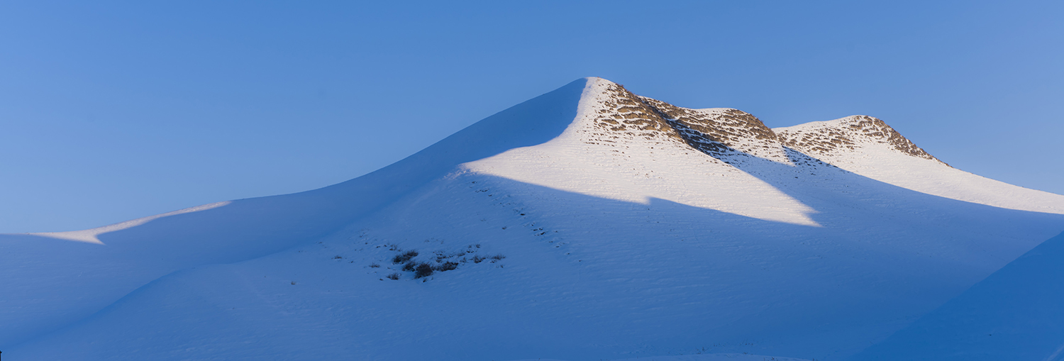 ����ͬ��֮ѩ��