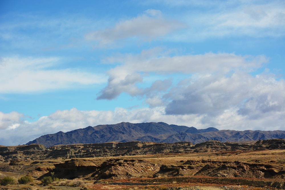 ��ľ���̲ 131_����.jpg