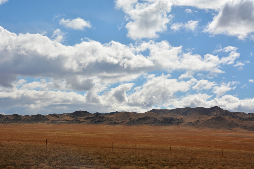 ��ľ���̲ 155_����.jpg