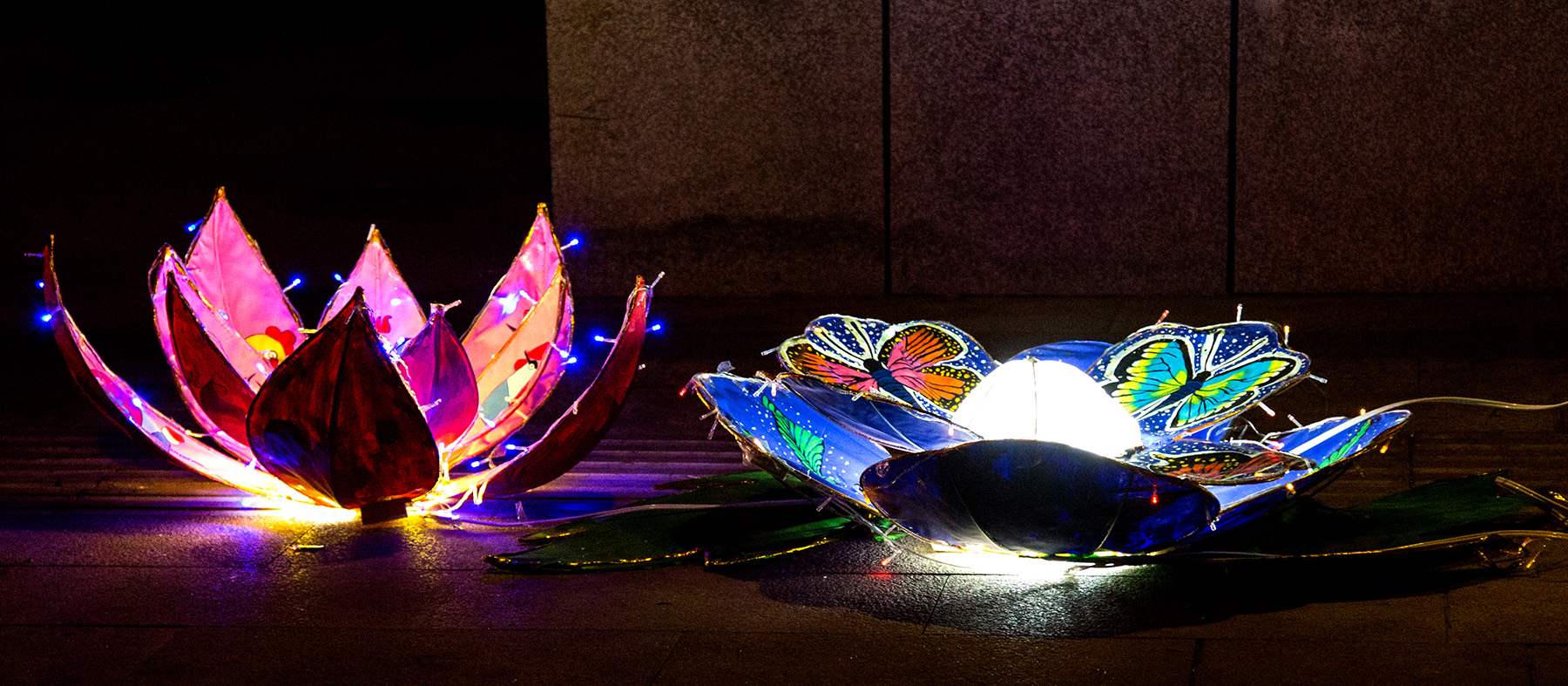 Ԫ����չ (11).jpg