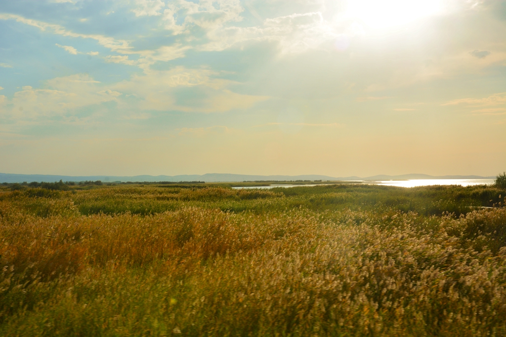 ��� 479_����.jpg