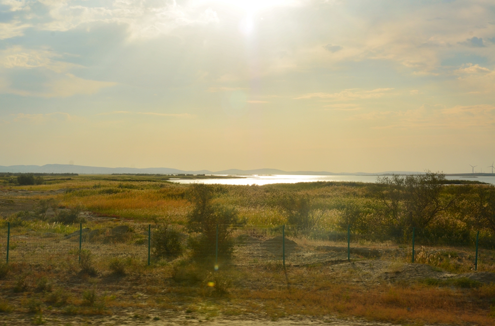 ��� 480_����.jpg