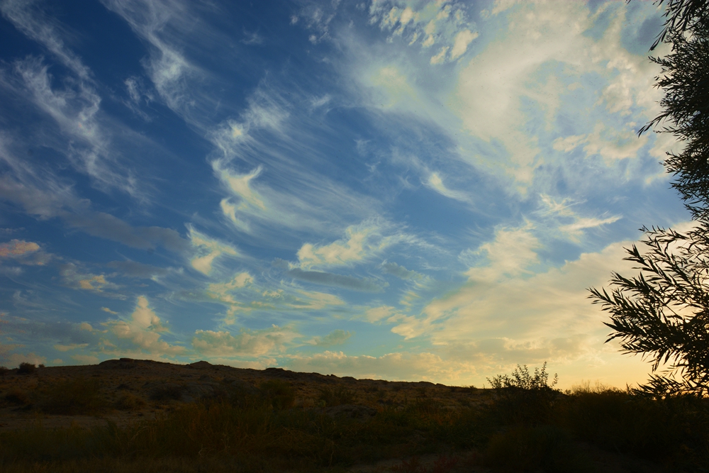 ��� 486_����.jpg