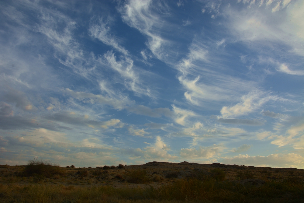 ��� 487_����.jpg