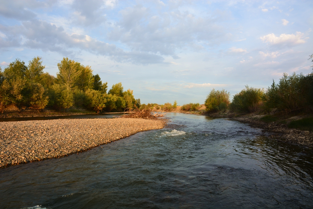 ��� 491_����.jpg