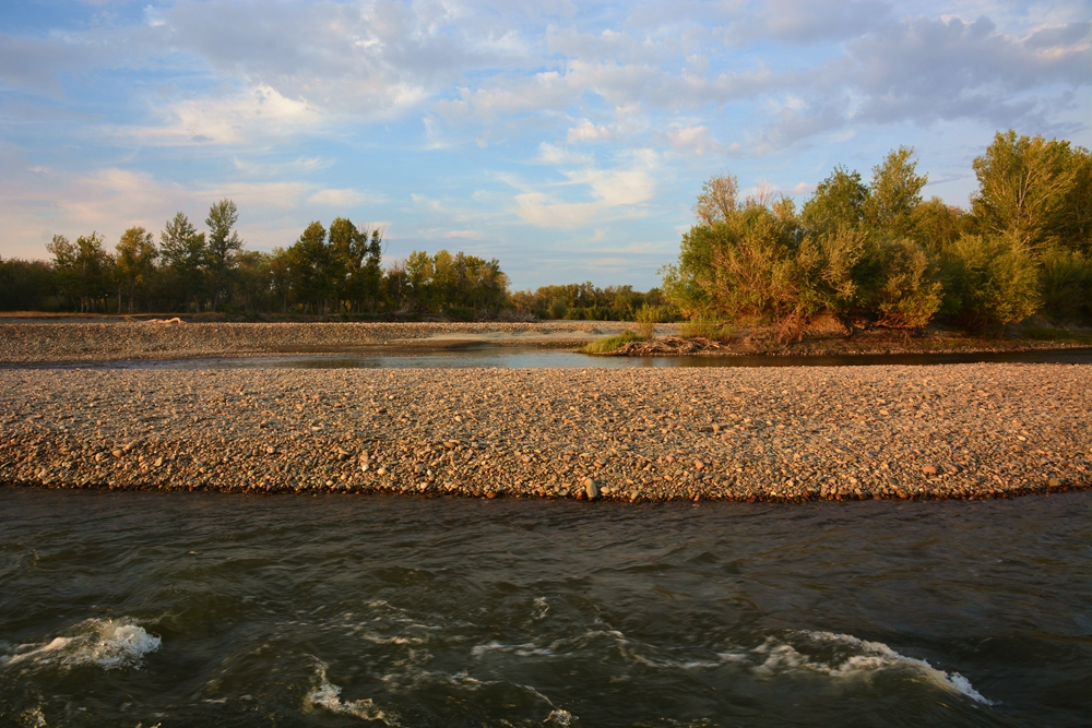 ��� 492_����.jpg