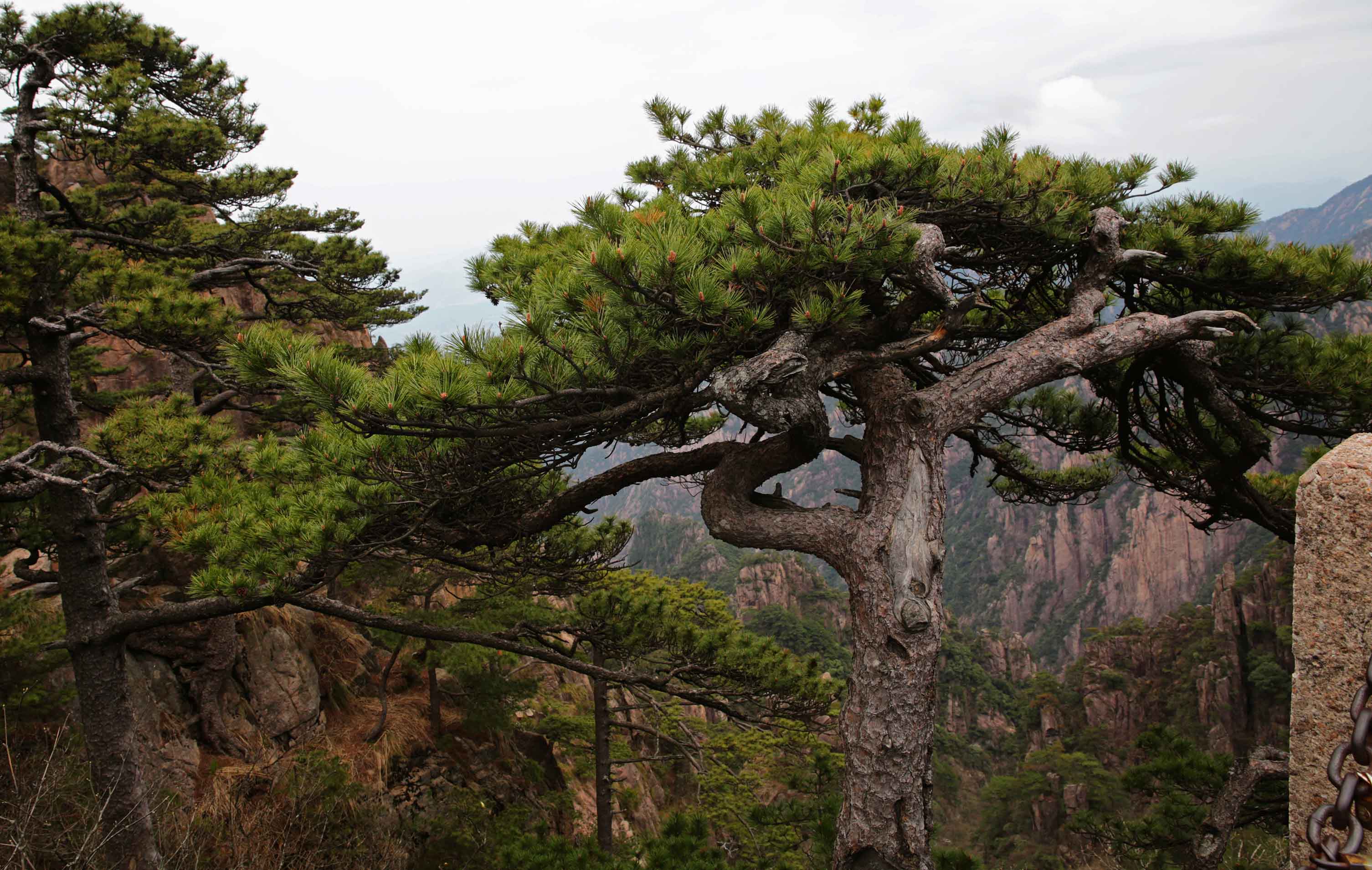 Ҫ��������ܳ�������