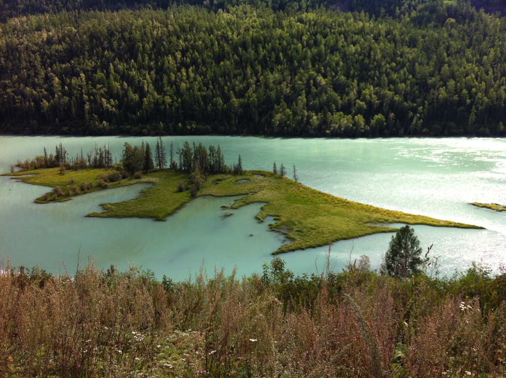 IMG_0564 ����.jpg