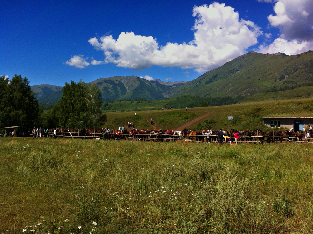 IMG_0596 ����.jpg