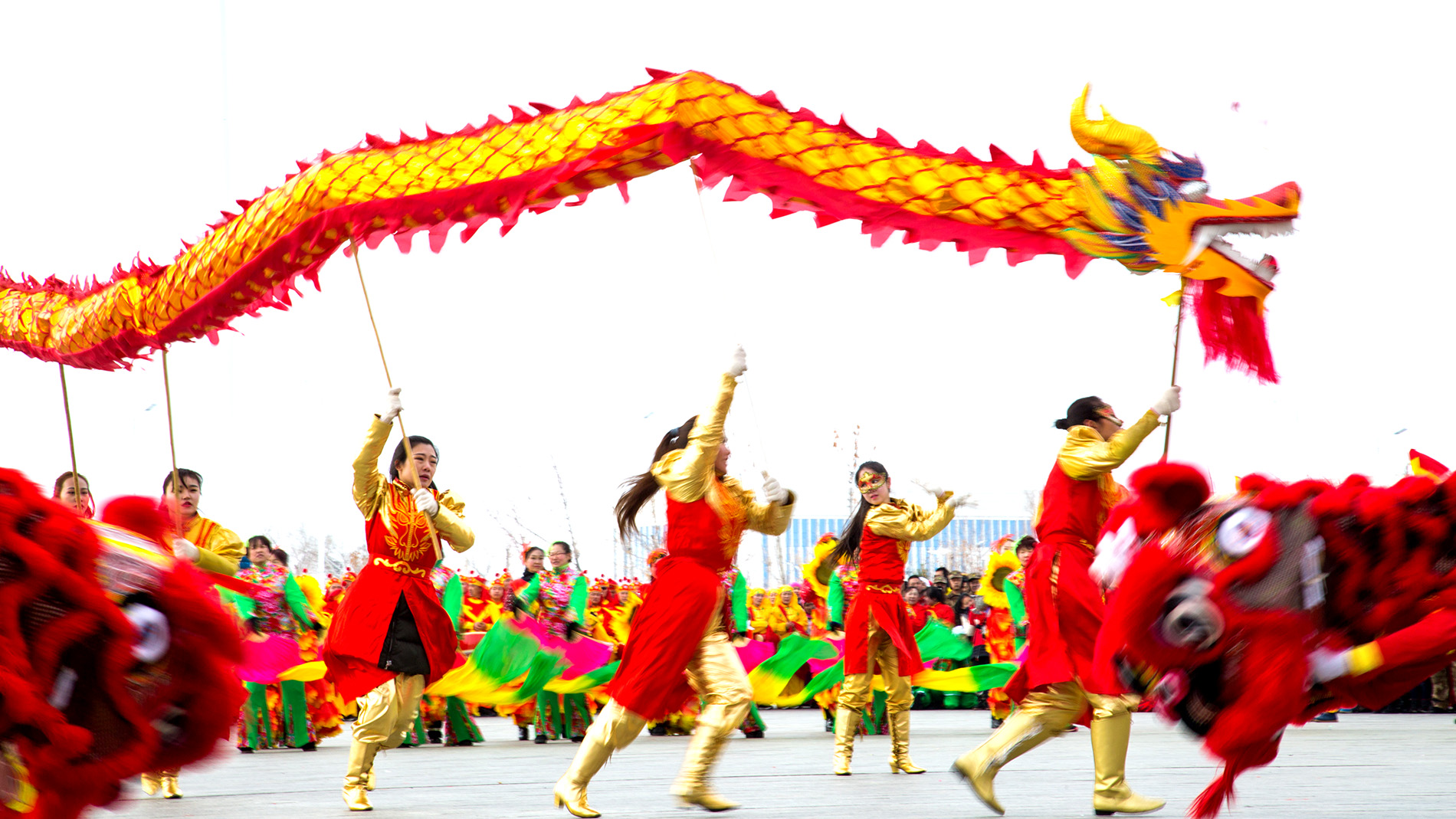 ����ʨԾ (5).jpg