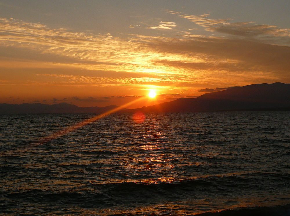 P1190567 ����.jpg