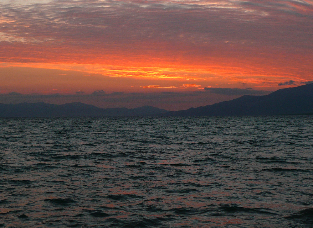 P1190461 ����.jpg