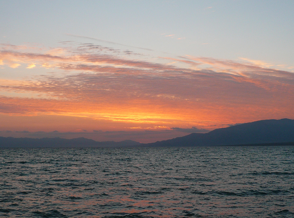 P1190469 ����.jpg