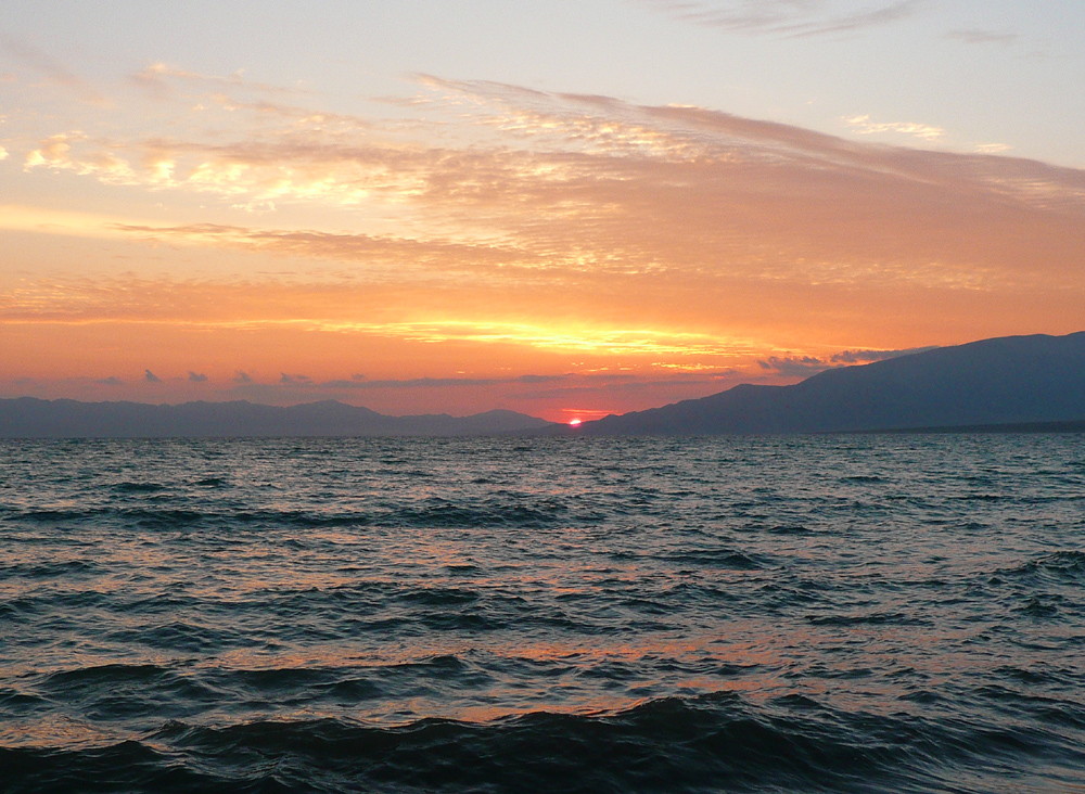 P1190490 ����.jpg