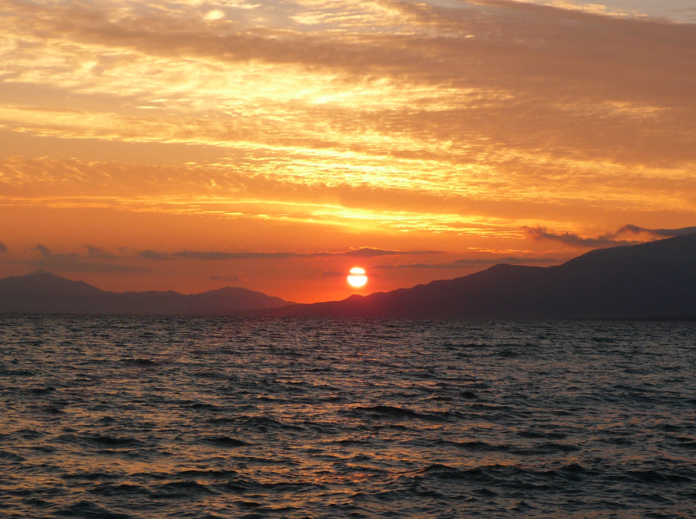 P1190544 ����.jpg