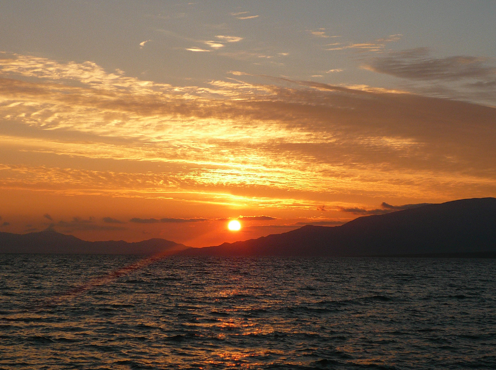 P1190553 ����.jpg