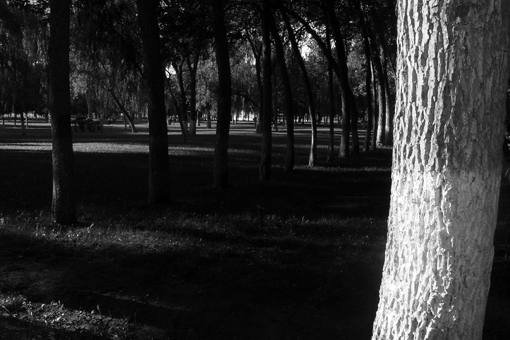 CIMG3824���� ����.jpg