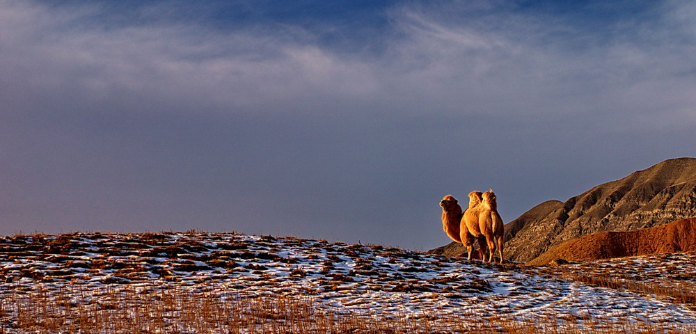 ���� CRW_5018.jpg