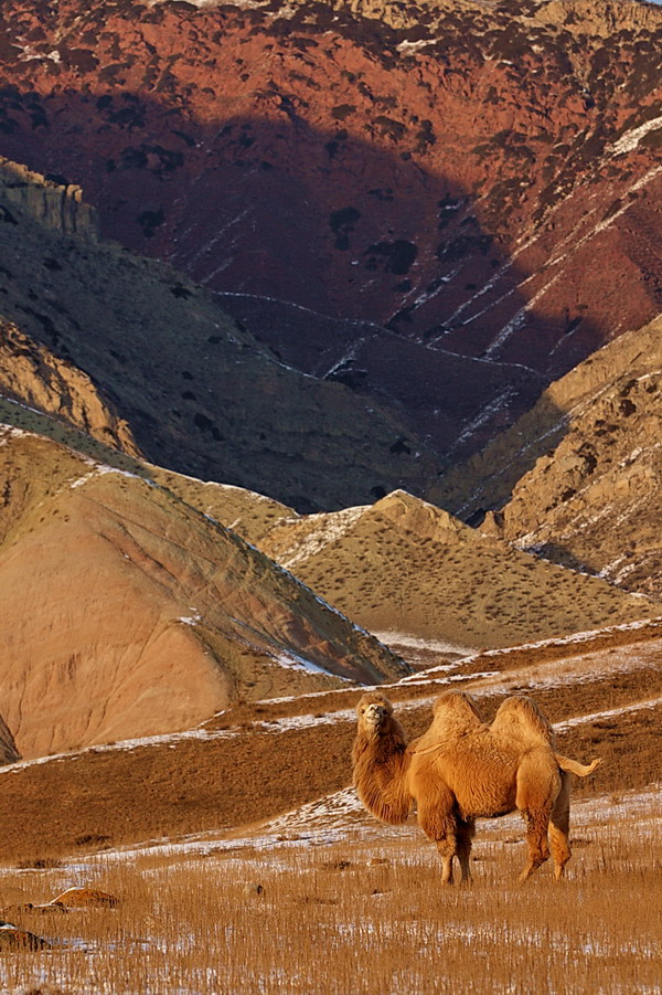 ���� CRW_5046.jpg