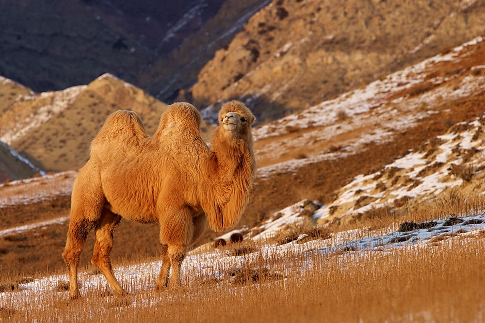 ���� CRW_5069.jpg