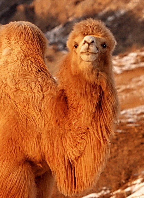 ���� CRW_5070.jpg