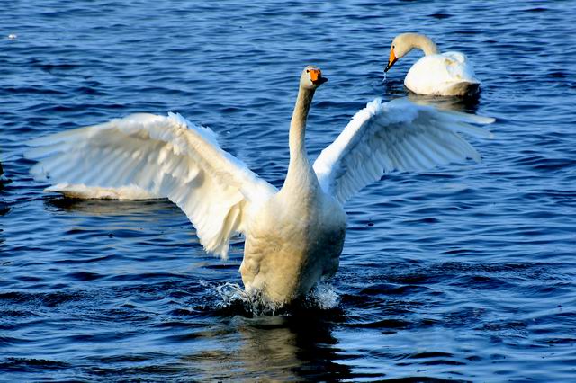 ������С ABC_6451.JPG