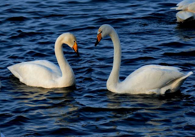 ������С ABC_6397.JPG