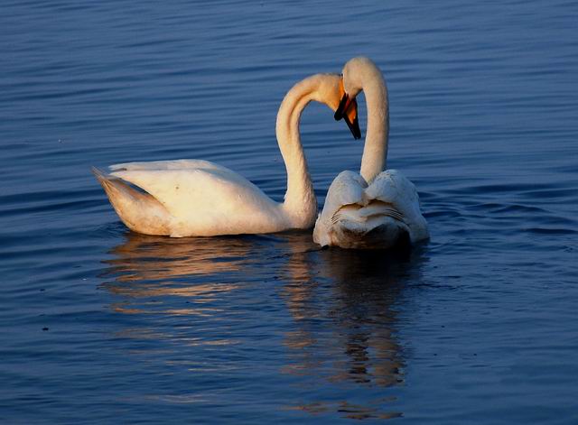 ������С ABC_7077.JPG