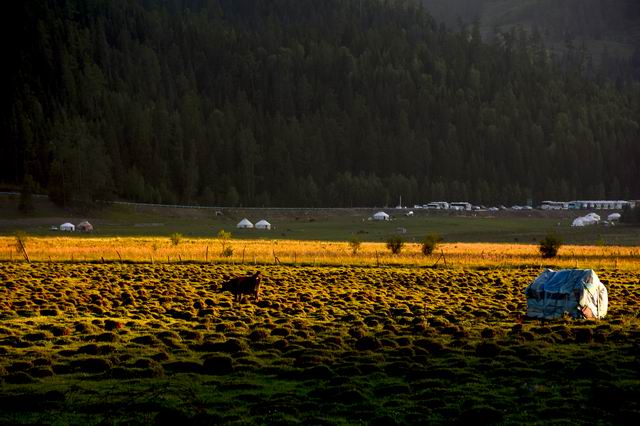 ������С DSC_1481.jpg