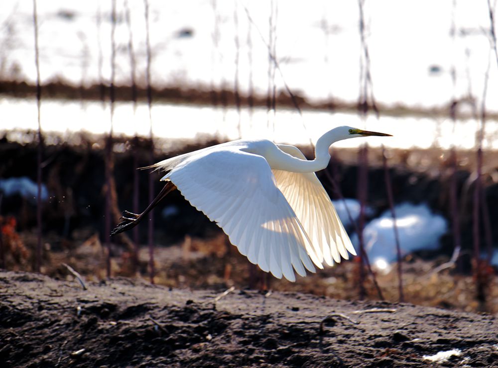 ���� DSC_2270_����.jpg