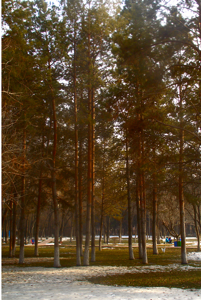 CIMG4454 ����.jpg