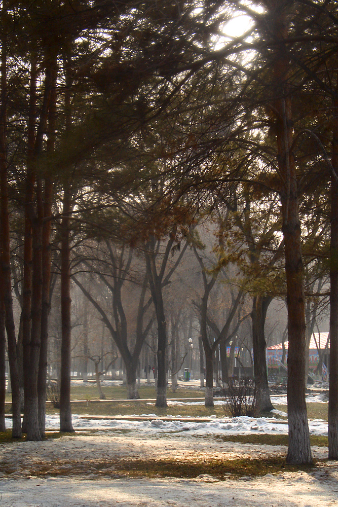 CIMG4455 ����.jpg