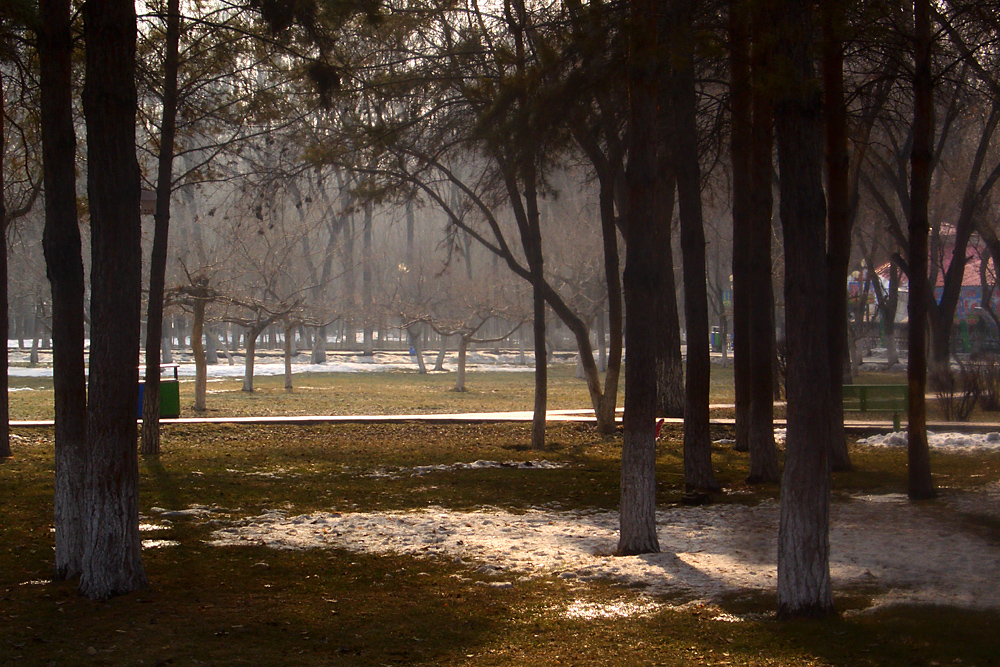 CIMG4462 ����.jpg