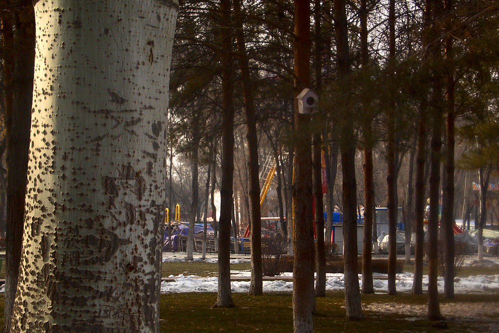 CIMG4467 ����.jpg