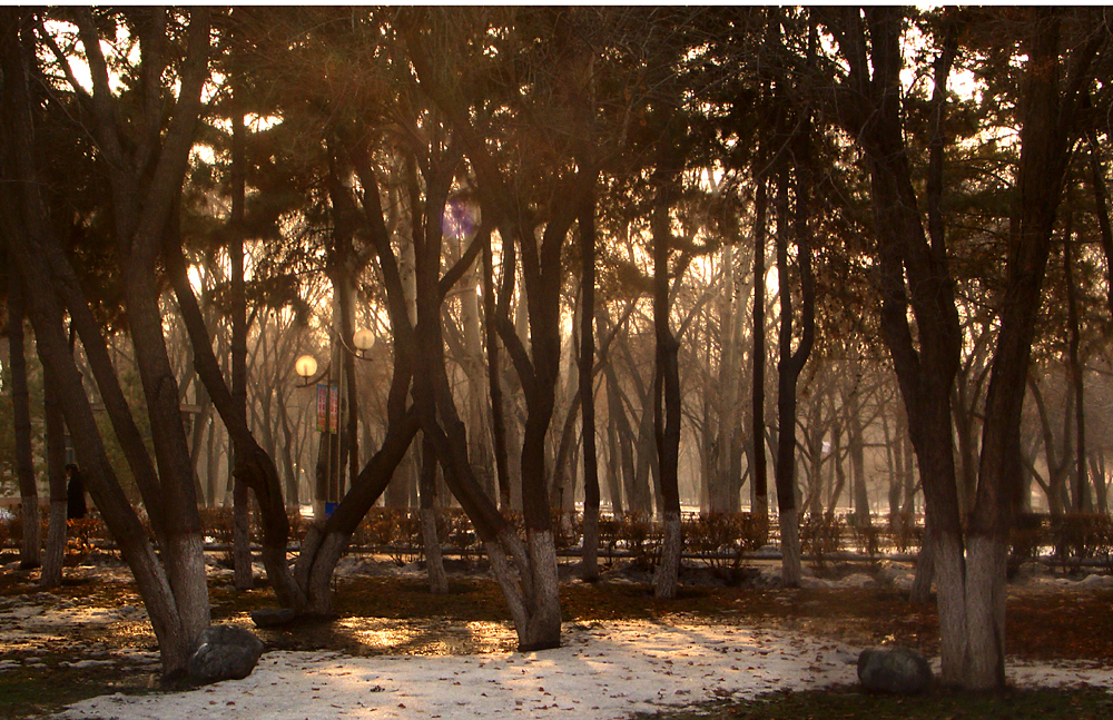 CIMG4484 ����.jpg