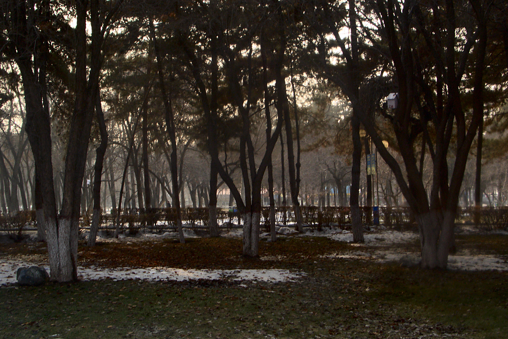 CIMG4485 ����.jpg