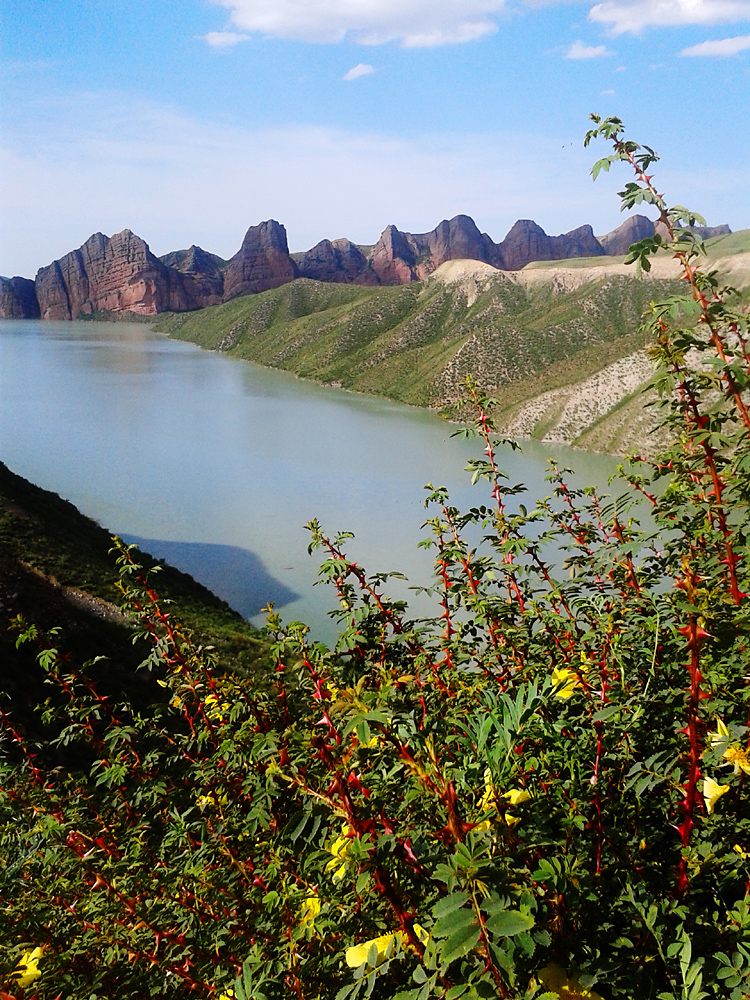 QQͼƬ20170402143636 ����.jpg