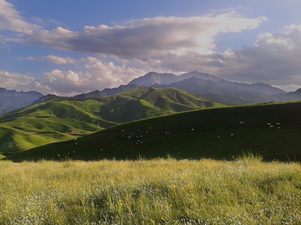 QQͼƬ20170402143656 ����1.jpg