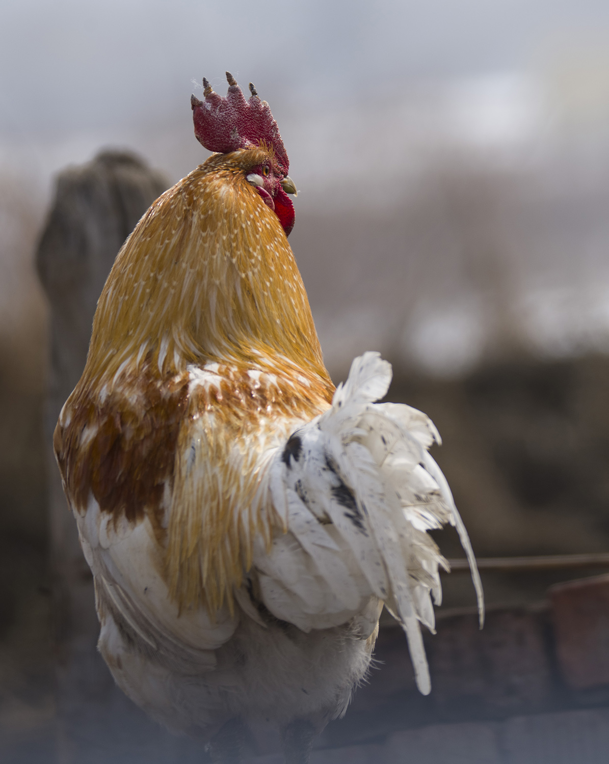 �ۼ����롪��