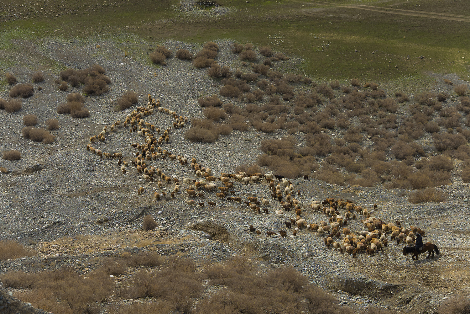 ��ӱ���������