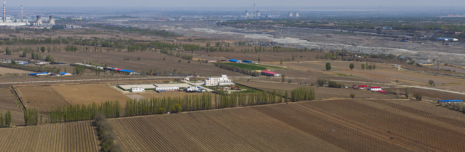 �����¾�����