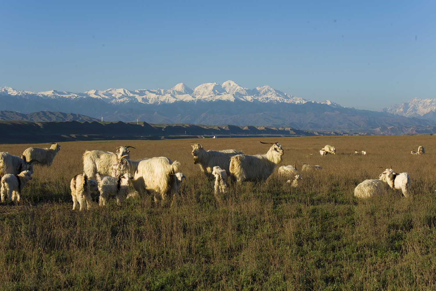 ��Ĵ��졪��