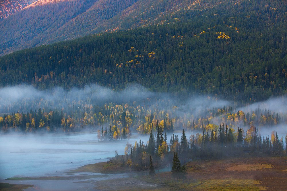 �����½�