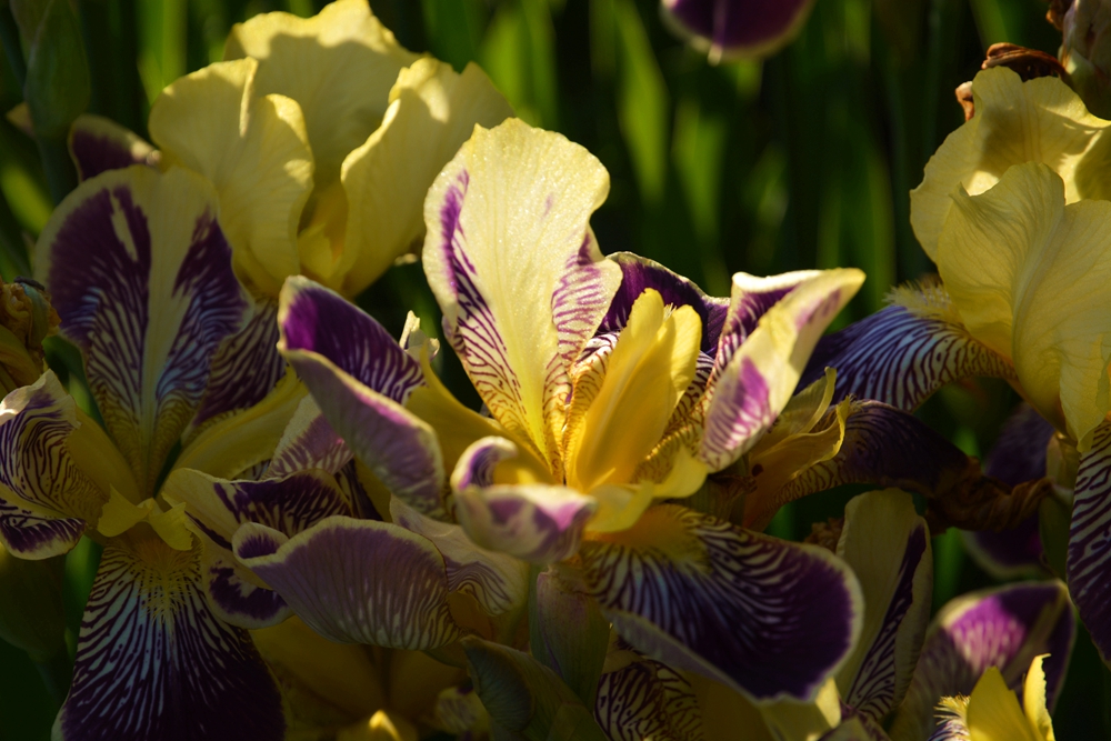 ĵ�������� 532_����.jpg