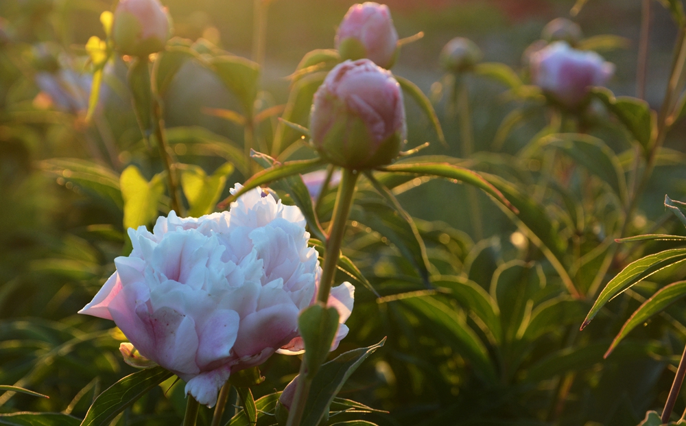 ĵ�������� 407_����.jpg